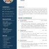 Resume Template One