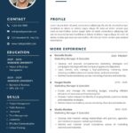 Resume Template One